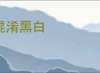 混淆黑白