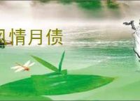 风情月债