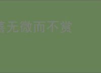 善无微而不赏