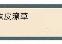 肤皮潦草
