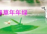 春草年年绿