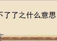 不了了之什么意思