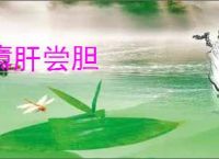 隳肝尝胆