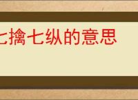 七擒七纵的意思