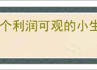 9个利润可观的小生意，小投资创业商机