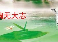 胸无大志
