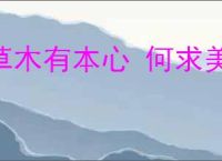 草木有本心 何求美人折