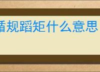 循规蹈矩什么意思