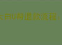 大白U帮退款流程：如何申请大白U帮余额退款指南