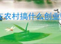 在农村搞什么创业赚钱，农村人做什么创业项目好？