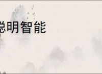 聪明智能