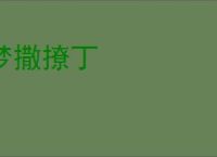 梦撒撩丁
