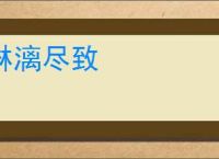 淋漓尽致