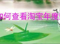如何查看淘宝年度购物分析