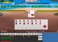 大家乐记牌器官网 - 智能辅助工具，助你轻松掌握牌局