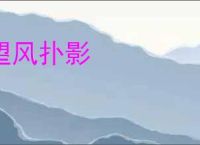 望风扑影