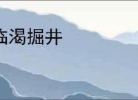 临渴掘井