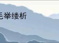 毛举缕析