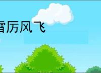 雷厉风飞