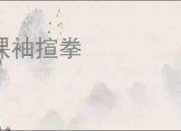 捰袖揎拳