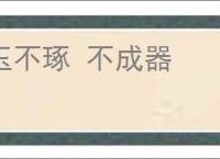 玉不琢 不成器
