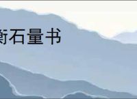 衡石量书