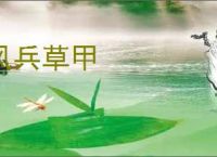 风兵草甲