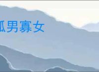 孤男寡女