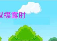 掣襟露肘