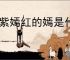姹紫嫣红的嫣是什么意思