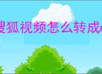 搜狐视频怎么转成mp4