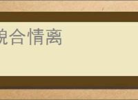 貌合情离