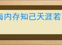 海内存知己天涯若比邻意思是什么