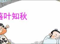 落叶知秋