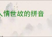 人情世故的拼音