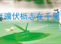 老骥伏枥志在千里