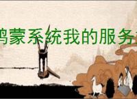 鸿蒙系统我的服务如何打开关闭