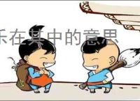 乐在其中的意思