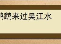 鹦鹉来过吴江水