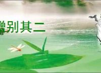 赠别其二