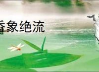 香象绝流