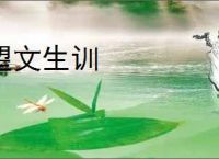 望文生训