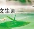 望文生训