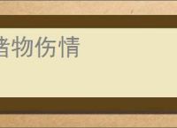 睹物伤情