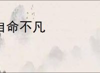 自命不凡