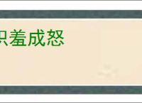 积羞成怒