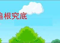 追根究底