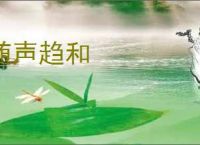 随声趋和