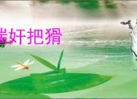 揣奸把猾
