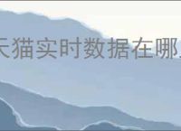 天猫实时数据在哪里查？如何分析？